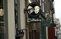 Niederlande testen "Staats-Marihuana" in zehn Städten