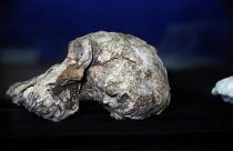 Etiyopya'da büyük keşif: 3,8 milyon yıl önce yaşamış ilk insana ait kafatası bulundu