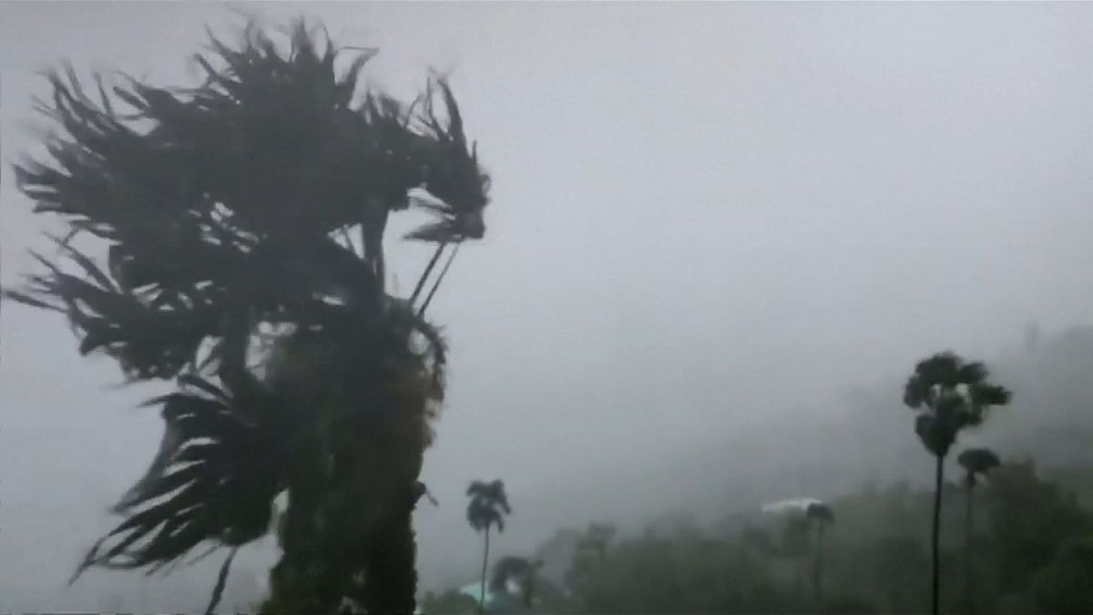شاهد: الاعصار دوريان يتجه لفلوريدا ويتلاعب بالأشجار في الجزر العذراء الأمريكية 