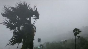 Dans les Caraïbes, la tempête Dorian se renforce