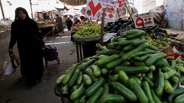  رغم بيانات اقتصادية وردية المصريون يشتكون من صعوبة المعيشة