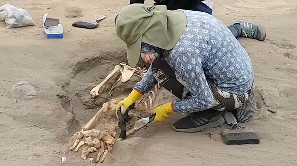 Страшные тайны доколумбовой Америки Страшные тайны доколумбовой Америки