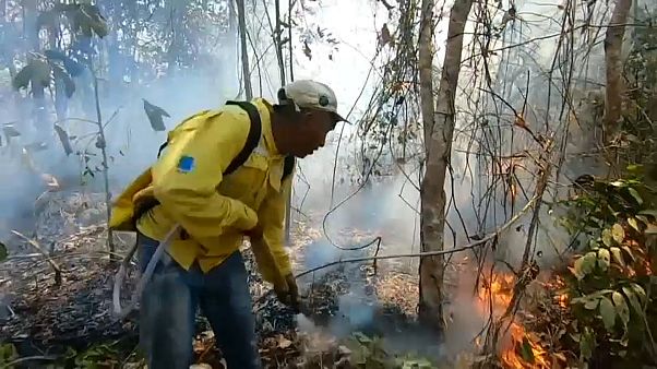 Bolsonaro e gli incendi in una china di credibilità internazionale Bolsonaro e gli incendi in una china di credibilità internazionale