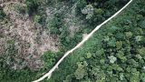 ¿La selva amazónica es realmente el “pulmón del planeta”?