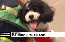 شاهد لقطات مختارة من يورونيوز