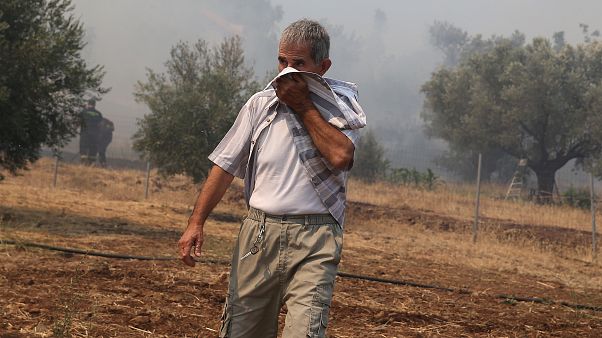 Φωτιές σε Λούτσα, Τανάγρα και Πεντέλη Φωτιές σε Λούτσα, Τανάγρα και Πεντέλη
