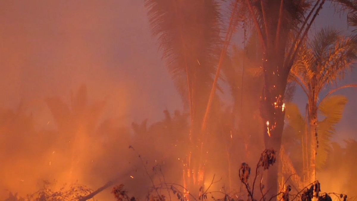 Bolsonaro muda decreto e restringe proibição de queimadas à Amazónia