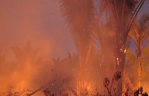 Bolsonaro vuelve a autorizar el uso de fuego para cultivos en regiones fuera del Amazonas