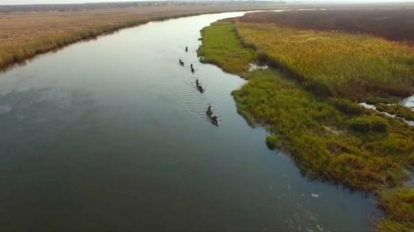 Into the Okavango: De Angola para os Emmy Awards 2019 Into the Okavango: De Angola para os Emmy Awards 2019
