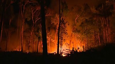 Amazon wildfires spread, with 72,843 detected so far this year