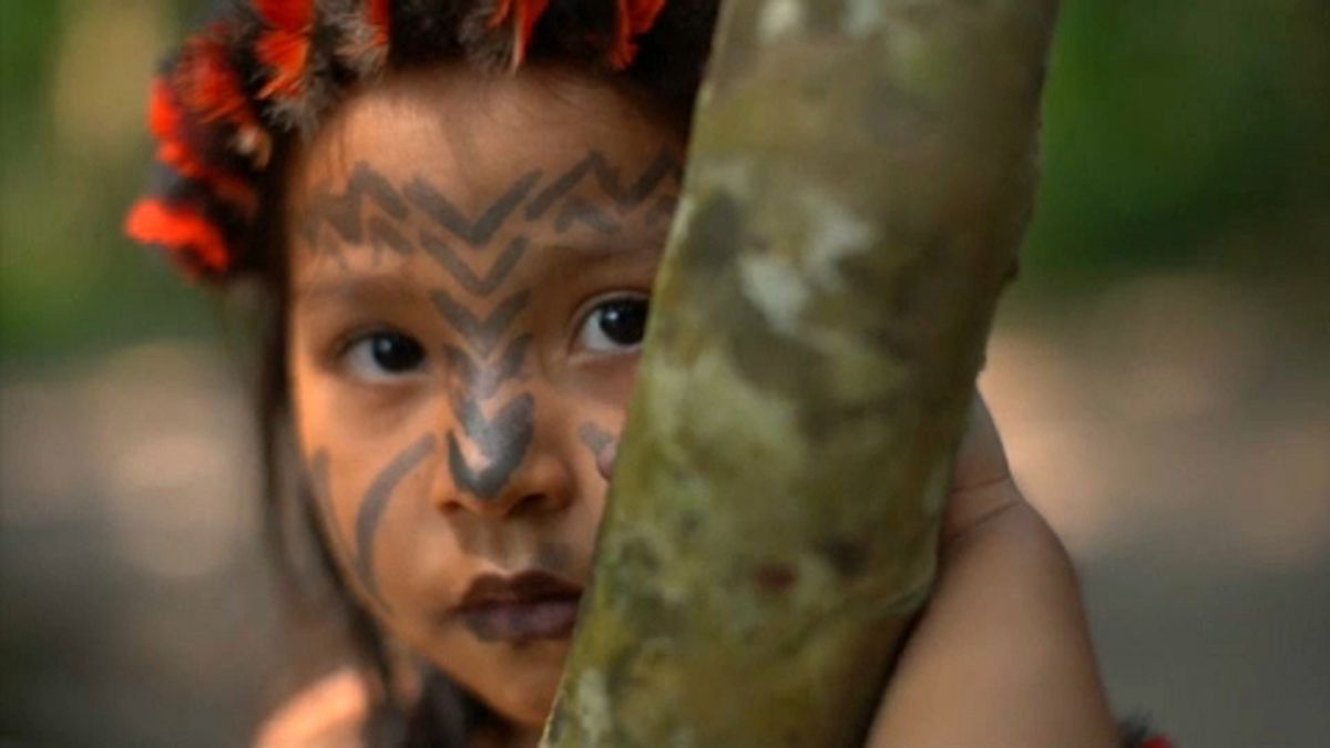 Amazónia őslakosai küzdenek az erdőtüzek és a fakitermelők ellen