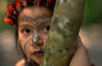 Amazónia őslakosai küzdenek az erdőtüzek és a fakitermelők ellen