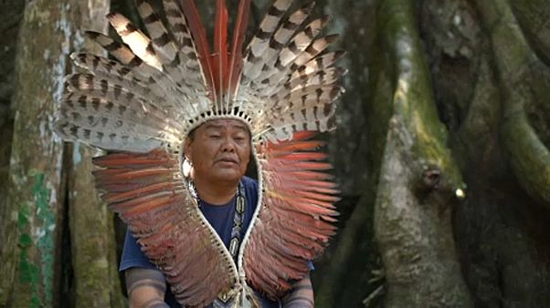 Mit den Waldhütern auf Amazonas-Streife Mit den Waldhütern auf Amazonas-Streife