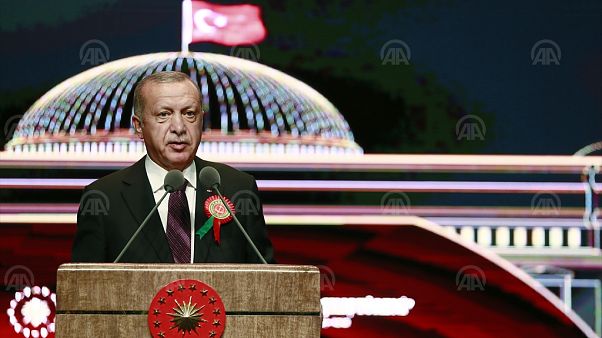 Erdoğan Erdoğan