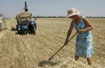 زلنسکی دستور داد: اصلاحات ارضی و خصوصی‌سازی گسترده در اوکراین