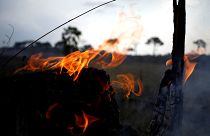 ¿Crucial o simbólica? Expertos cuestionan la ayuda internacional para los incendios en el Amazonas