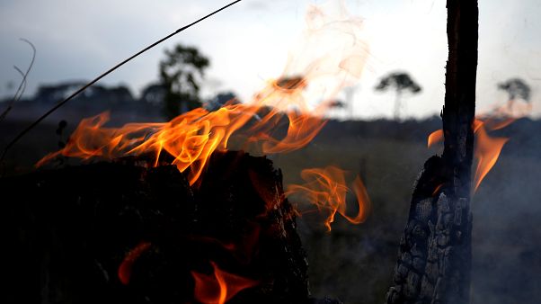 ¿Crucial o simbólica? Expertos cuestionan la ayuda internacional para los incendios en el Amazonas ¿Crucial o simbólica? Expertos cuestionan la ayuda internacional para los incendios en el Amazonas
