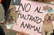 Marchas en Colombia contra el maltrato animal