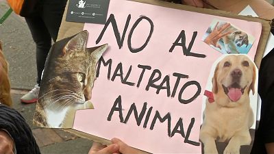 Animais e donos desfilam por direitos na Colômbia