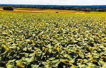 Csaknem harmincezren szeretnének környezetvédelmi minisztériumot Magyarországon