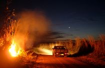 Gli aiuti internazionali per l'Amazzonia servono a qualcosa o sono solamente simbolici?