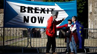 A Pro-Brexit protester talks with anti-Brexit protesters in London, Britain, September 2, 2019. 