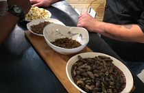 شاهد: أطباق "عامرة" بالحشرات في أول مطعم من نوعه بجنوب إفريقيا