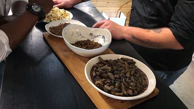 Güney Afrika'da lüks bir restoranın özel menüsü böcekli yemekler