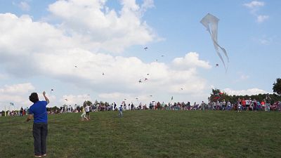 Kite festival fun in Russia despite lack of strong winds