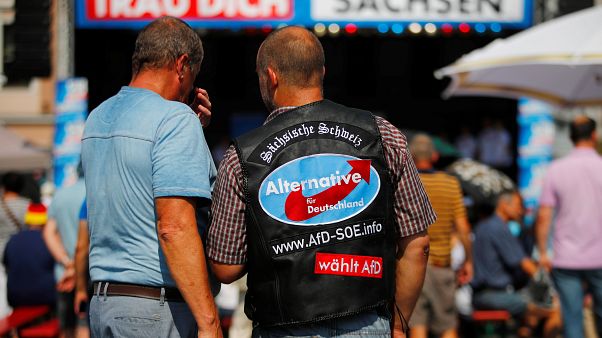 Schuldzuweisungen nach AfD-Höhenflug in Sachsen und Brandenburg Schuldzuweisungen nach AfD-Höhenflug in Sachsen und Brandenburg