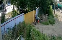 ویدئوی مصائب سرقت یک فرغون، دو کودک روس را معروف کرد