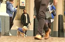 Brexit: vegyes érzelmekkel várják a fejleményeket