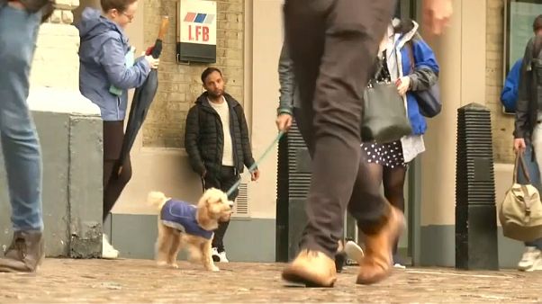 Incertidumbre en Londres tras la derrota de Johnson Incertidumbre en Londres tras la derrota de Johnson