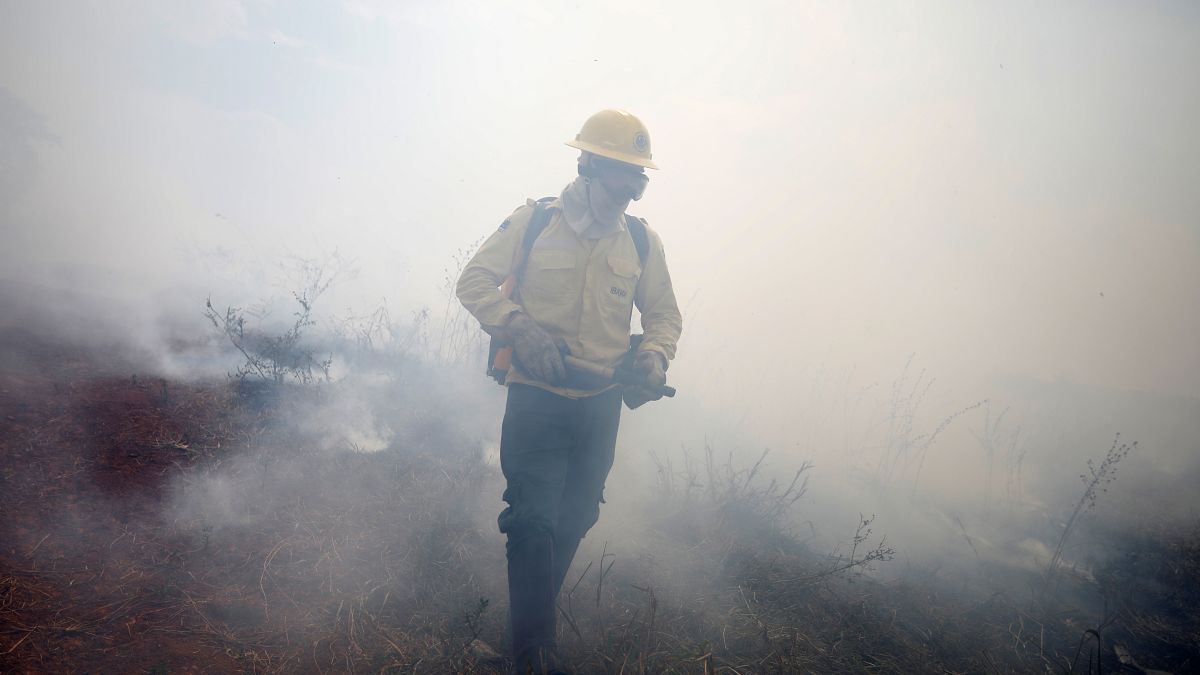 Amazonas-Brand: Armee und Feuerwehr arbeiten zusammen