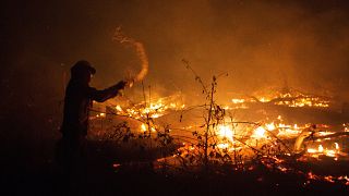 French firefighters mobilised to fight fires in Amazon rainforest