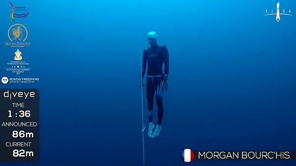 Um mergulho à procura do título mundial Um mergulho à procura do título mundial