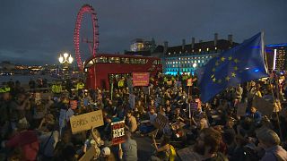 Anti-Brexit protesters hold night rally in Westminster