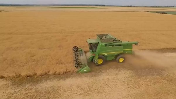 Agricultura e pecuária em risco na União Europeia Agricultura e pecuária em risco na União Europeia