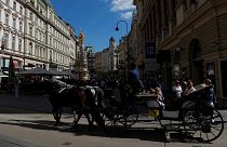 Fiákeres utazás a Graben környékén