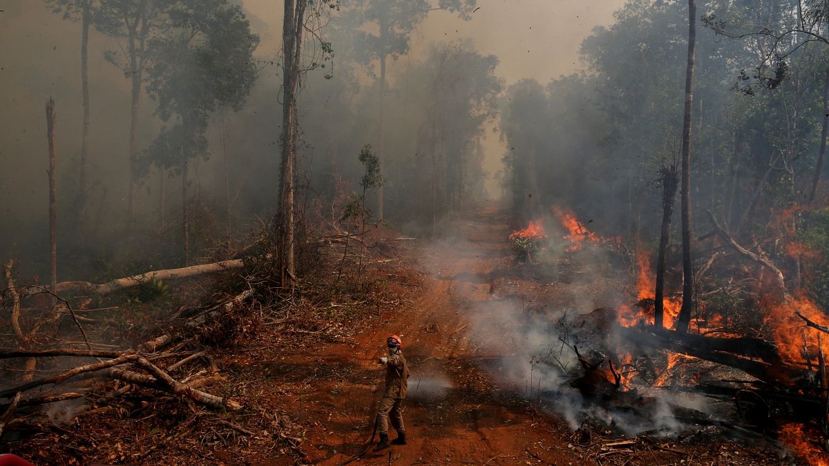 A firefighter from ABAFA Amazonia operation puts out a fire in a forest in the city of Uniao do Sul, in Mato Grosso