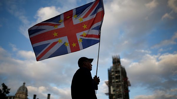 Brexit karşıtı bir gösterici İngiliz Parlementosu önünde Brexit karşıtı bir gösterici İngiliz Parlementosu önünde