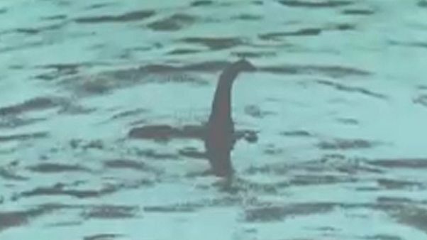 A Loch Ness-i szörny talán egy nagy angolna volt A Loch Ness-i szörny talán egy nagy angolna volt