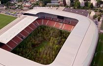 Art installation transforms Austrian soccer stadium into forest of 300 trees
