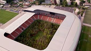 Art installation transforms Austrian soccer stadium into forest of 300 trees