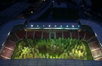 فيديو: مشروع فني نمساوي يحول ملعب كرة قدم إلى غابة