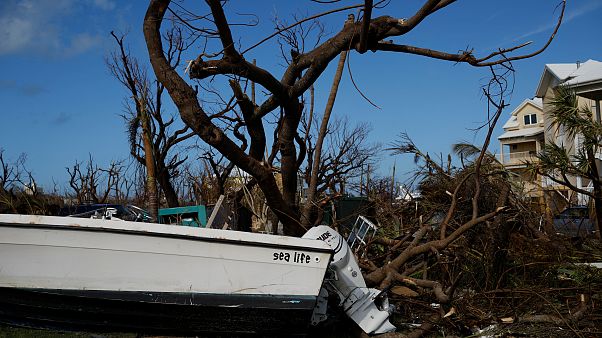 Dorian : le bilan toujours provisoire s'alourdit et passe à 43 morts Dorian : le bilan toujours provisoire s'alourdit et passe à 43 morts