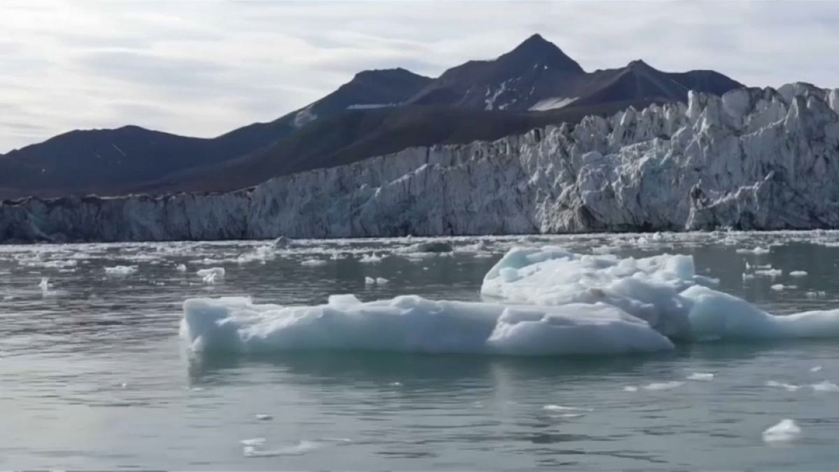 Cambiamenti climatici, una sirena d'allarme dalle isole Svalbard