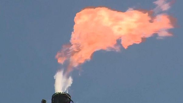 NGO: Ölmultis untergraben Klimaziele NGO: Ölmultis untergraben Klimaziele
