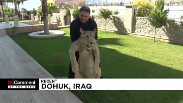 Los mejores NoComment de la semana