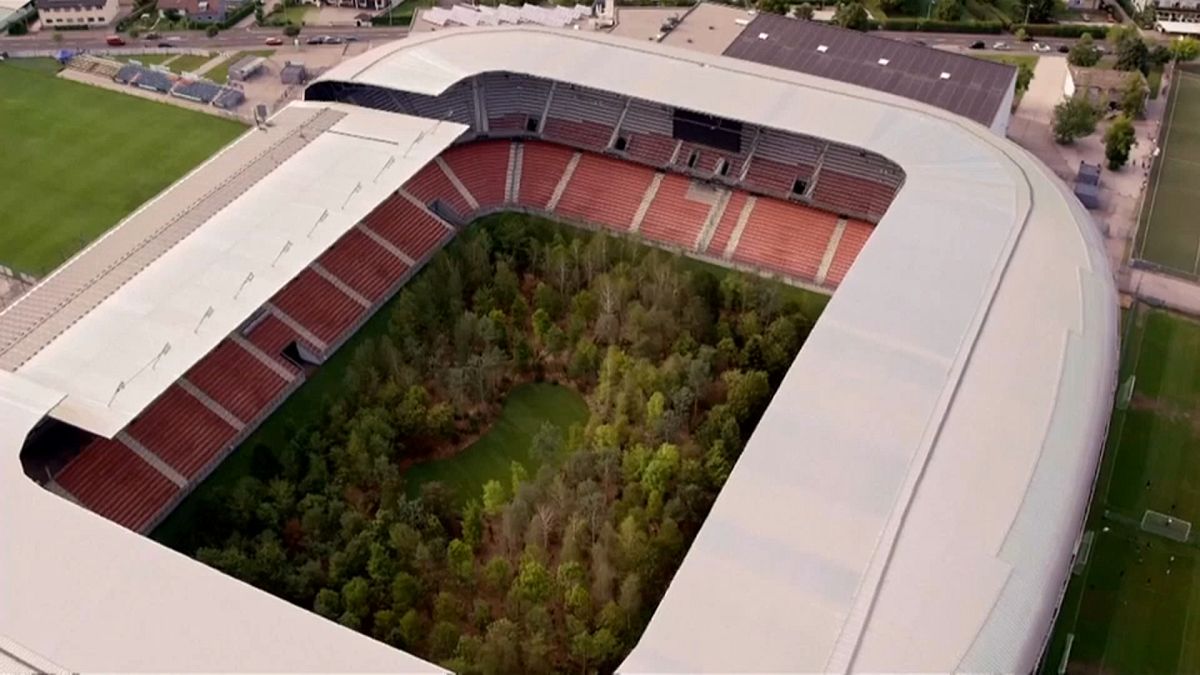 Watch: Art installation transforms Austrian football stadium into forest